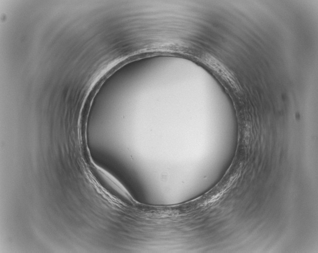 X0000059850884200511181535