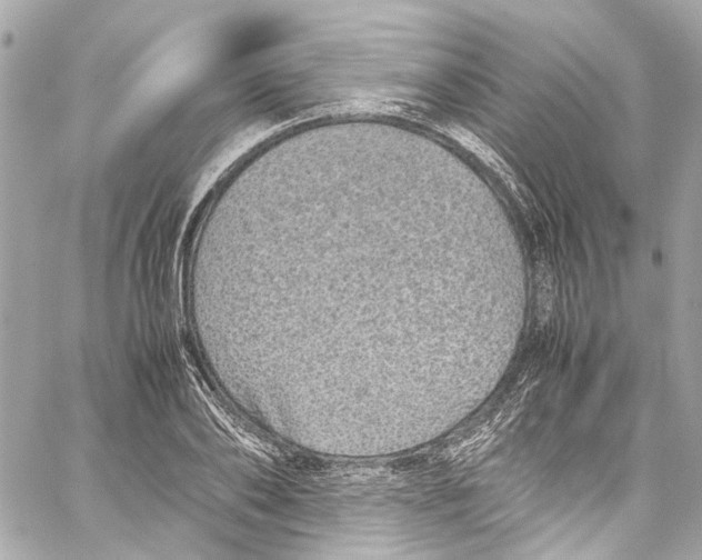 X0000059850886200511181535