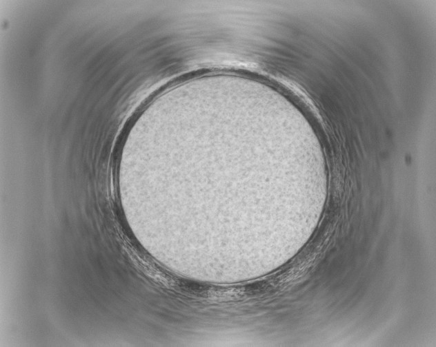 X0000059850887200511181535