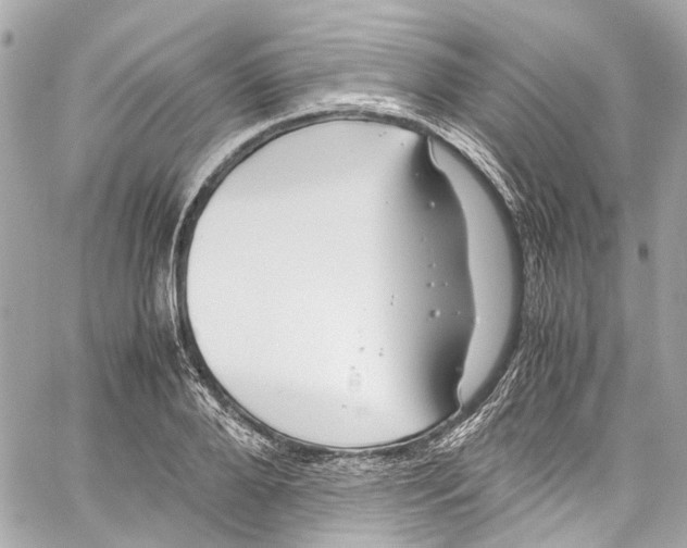 X0000059850888200511181535