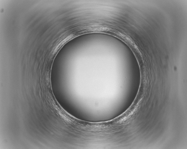 X0000059850889200511181535