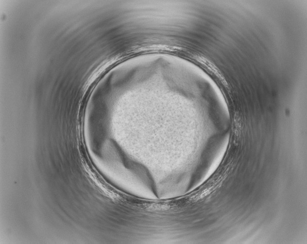 X0000059850890200511181535