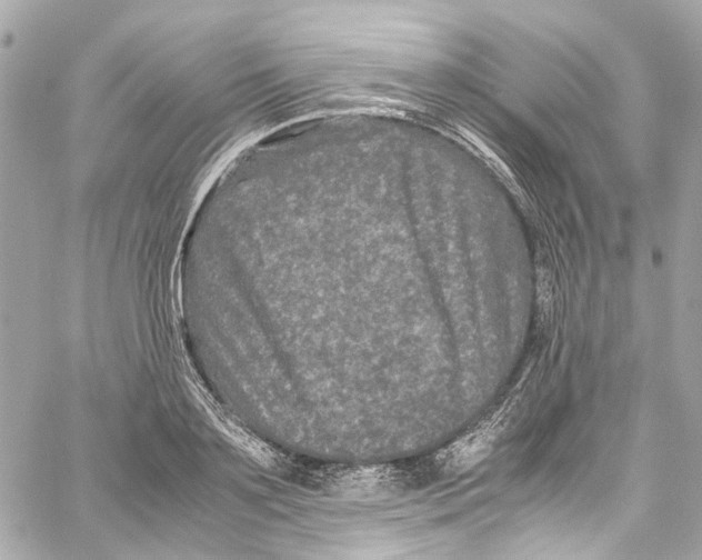 X0000059850891200511181535