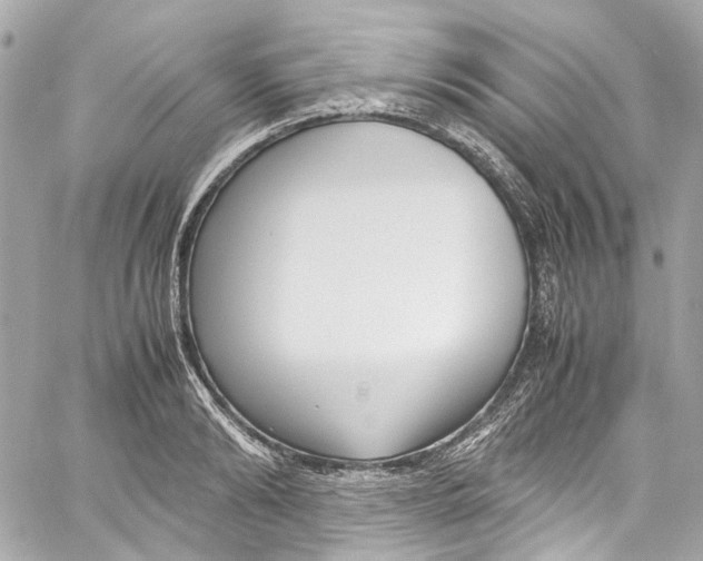 X0000059850894200511181535