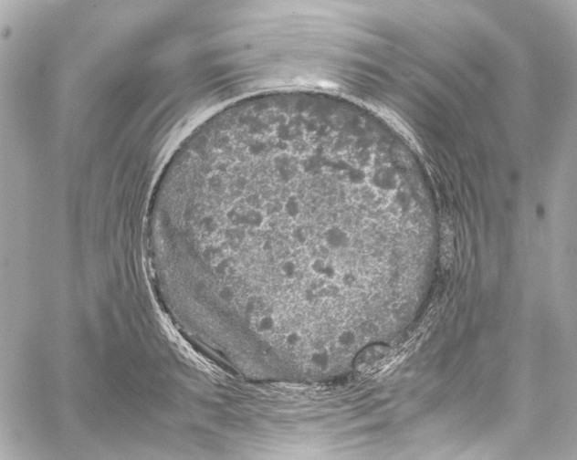 X0000059850895200511181535