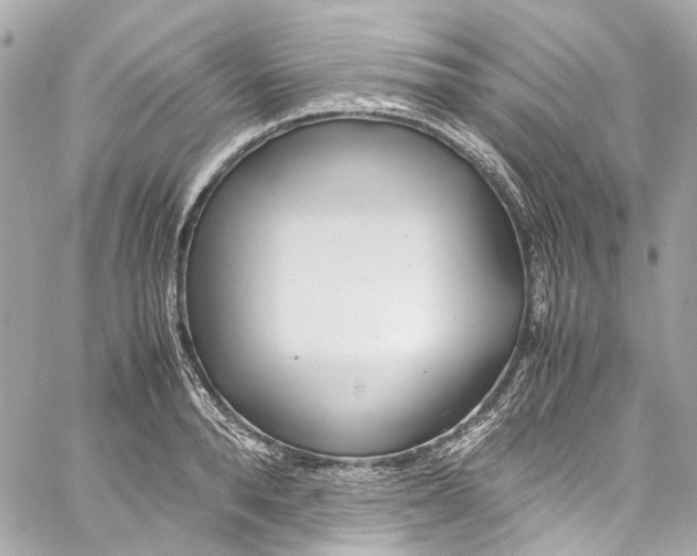 X0000059850896200511181535