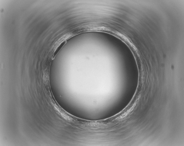 X0000059850897200511181535