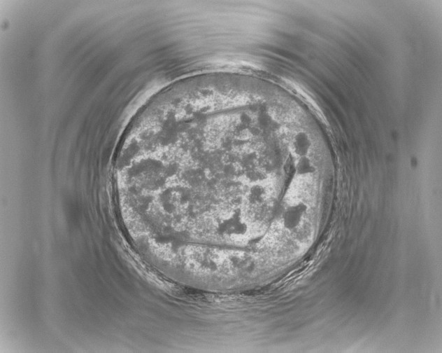 X0000059850899200511181535