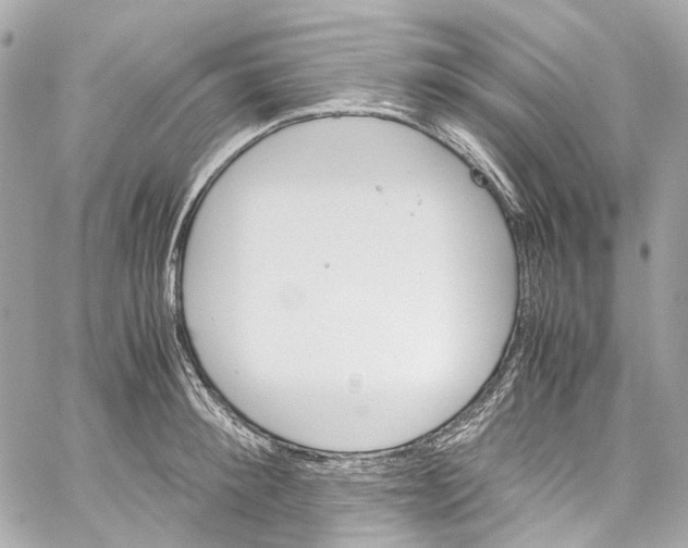 X0000059850900200511181535