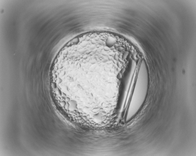 X0000059850903200511181535