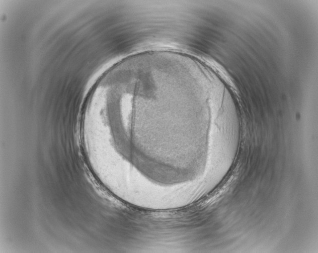 X0000059850904200511181535