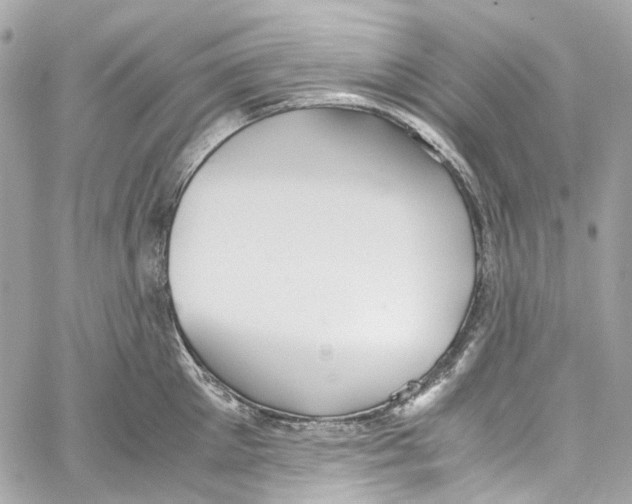 X0000059850905200511181535