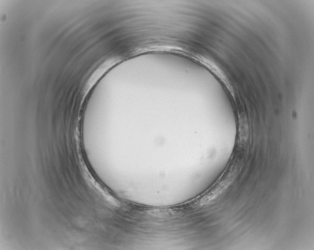 X0000059850906200511181535