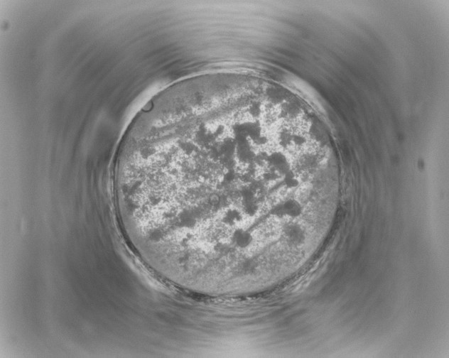 X0000059850907200511181535