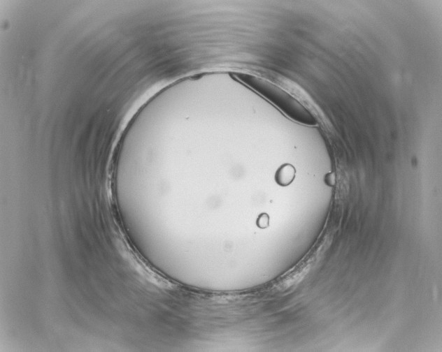 X0000059850908200511181535