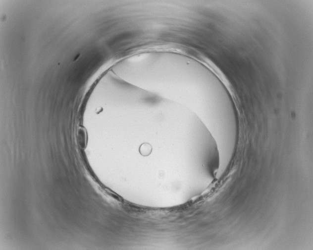 X0000059850909200511181535