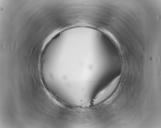 X0000059850910200511181535