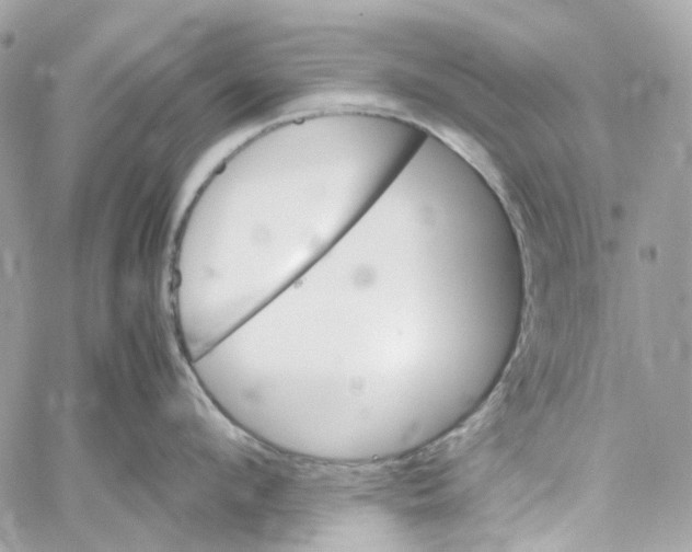 X0000059850912200511181535