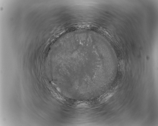 X0000059850913200511181534