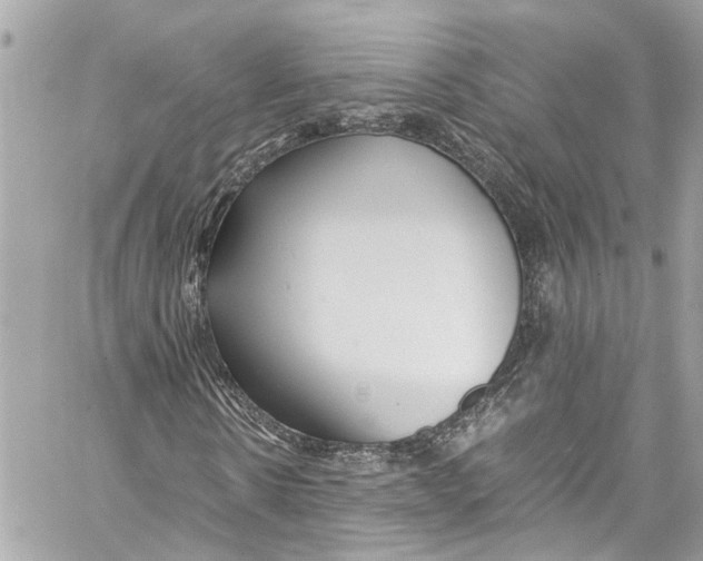 X0000059850914200511181534