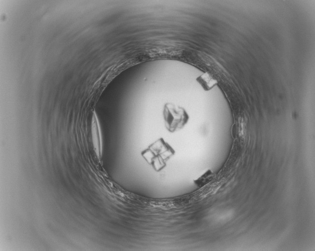 X0000059850915200511181534