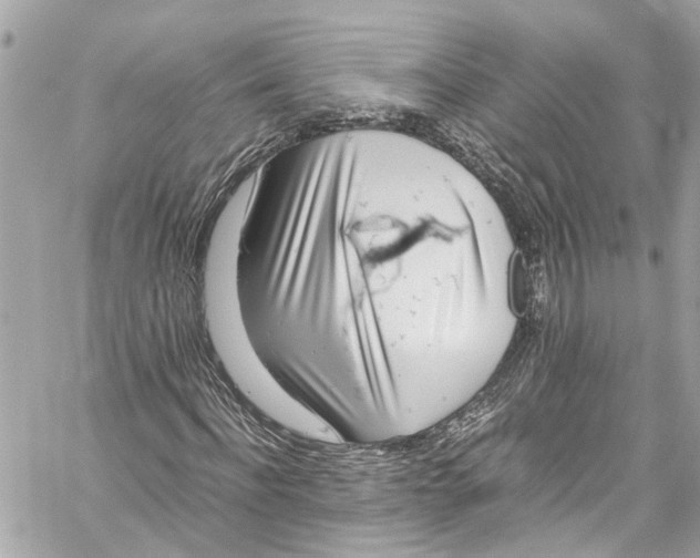 X0000059850916200511181534