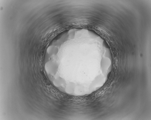 X0000059850917200511181534