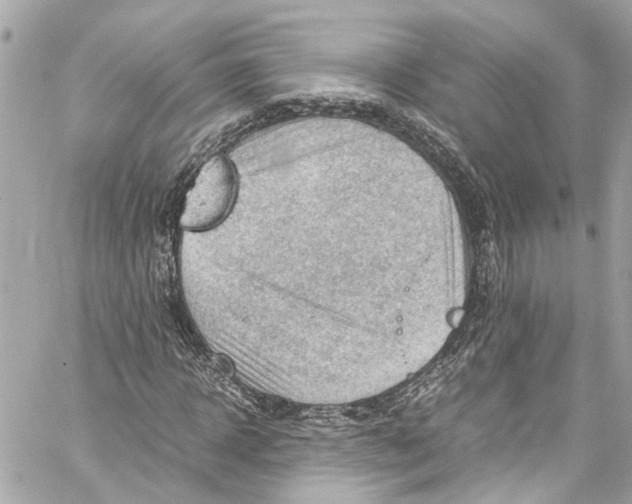 X0000059850918200511181534