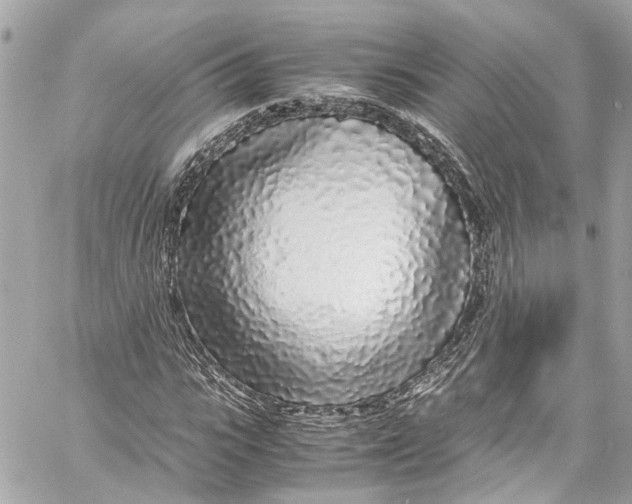 X0000059850919200511181534