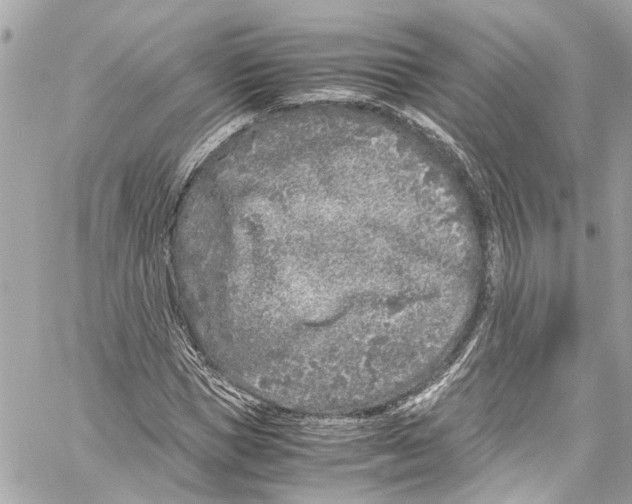 X0000059850921200511181534