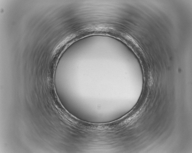 X0000059850922200511181534