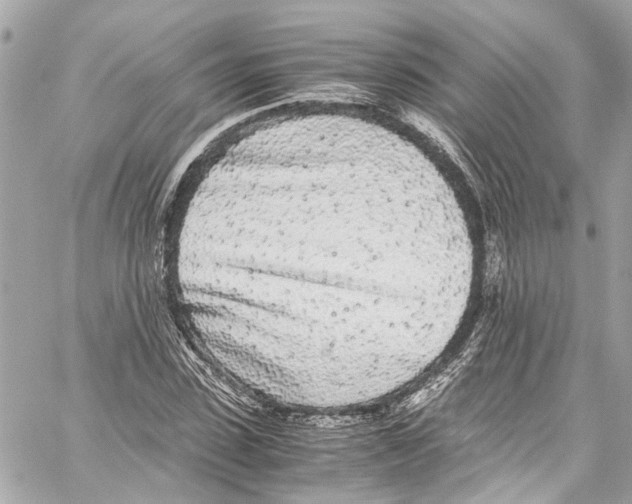 X0000059850923200511181534