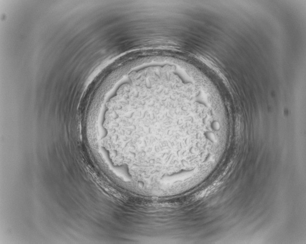 X0000059850925200511181534