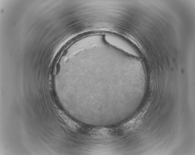 X0000059850926200511181534