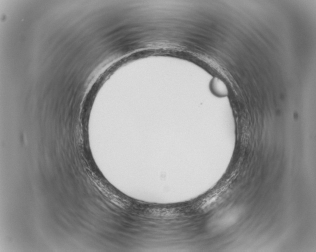 X0000059850927200511181534