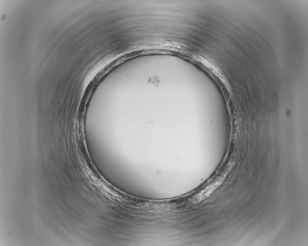 X0000059850928200511181534