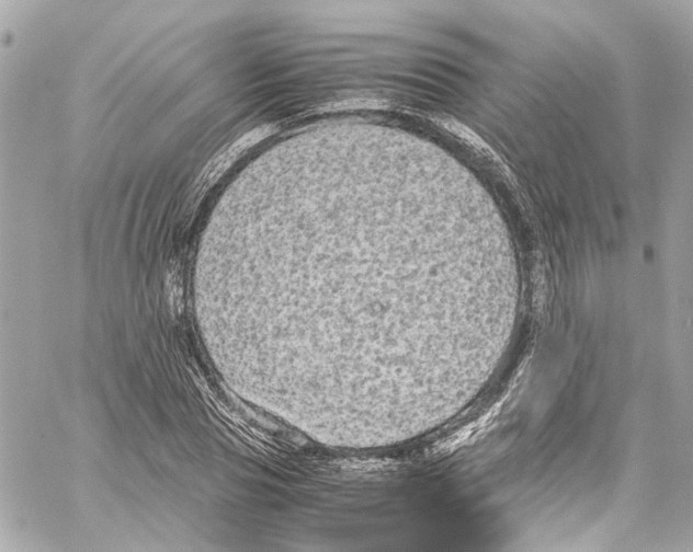 X0000059850929200511181534