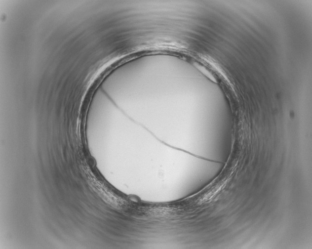 X0000059850932200511181535