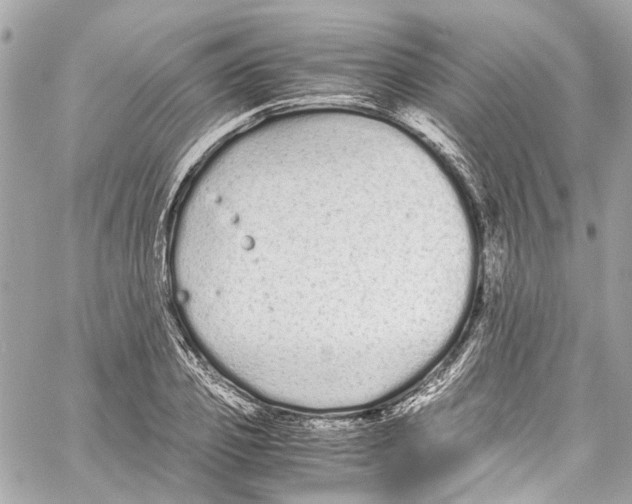 X0000059850933200511181535