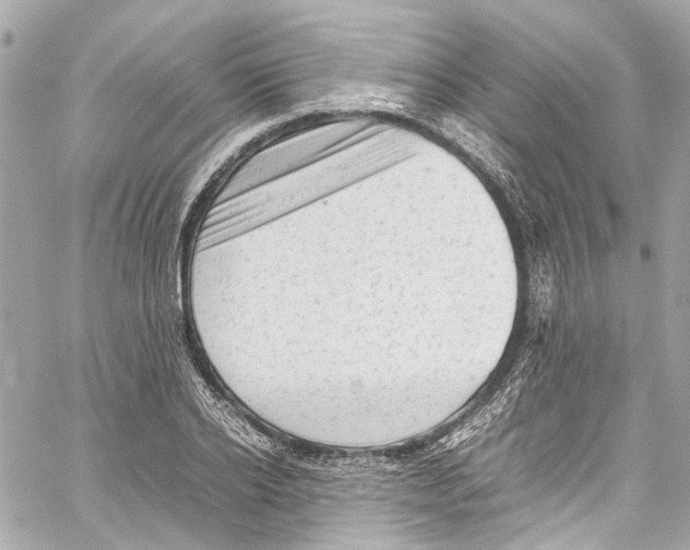 X0000059850934200511181535