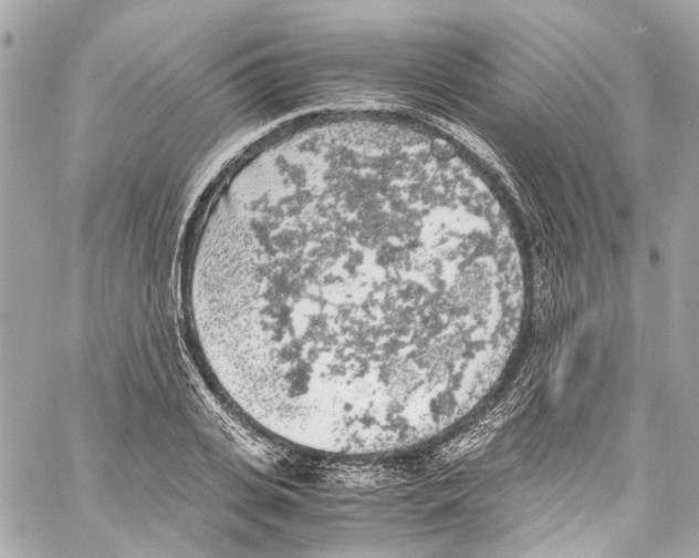 X0000059850935200511181535