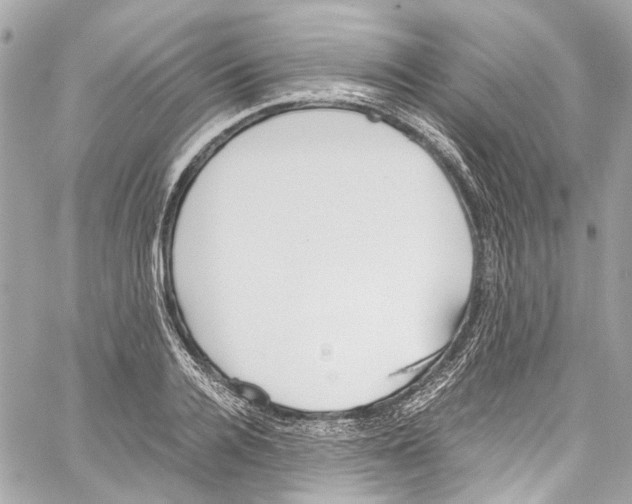 X0000059850936200511181535