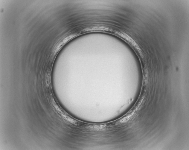 X0000059850937200511181535