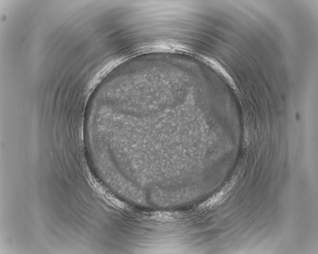 X0000059850938200511181535