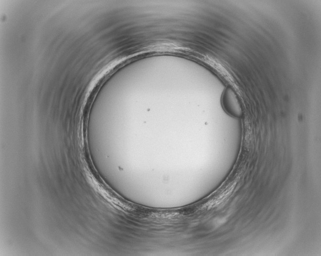 X0000059850939200511181535