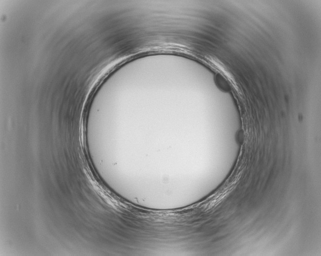 X0000059850940200511181535