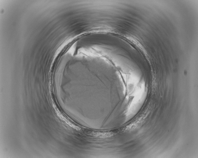 X0000059850941200511181535