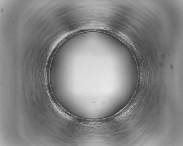 X0000059850942200511181535