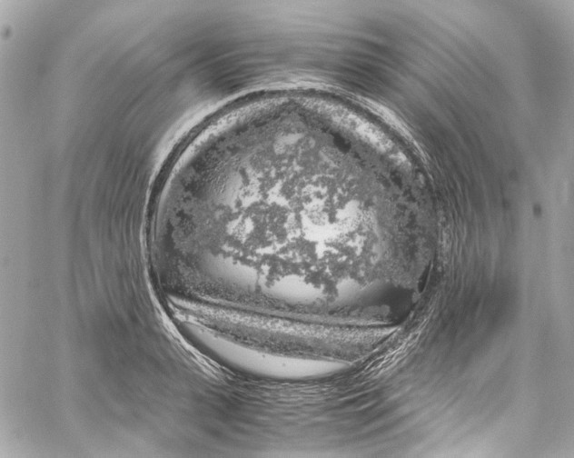 X0000059850943200511181535