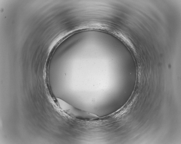 X0000059850944200511181535